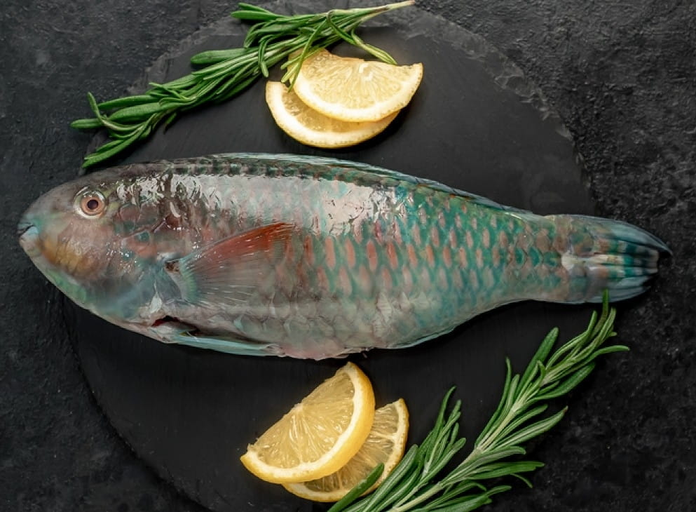 stock-photo-raw-parrot-fish-on-stone-background-2019175808-transformed