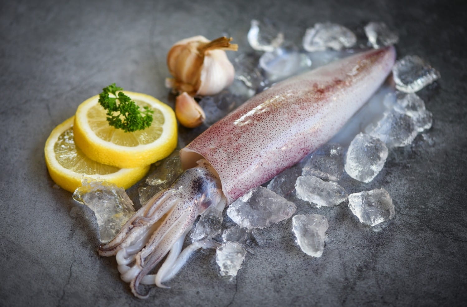 stock-photo-raw-squid-on-ice-with-salad-spices-lemon-garlic-on-the-dark-plate-background-fresh-squids-octopus-1605890158-xHqtPMAyE-transformed