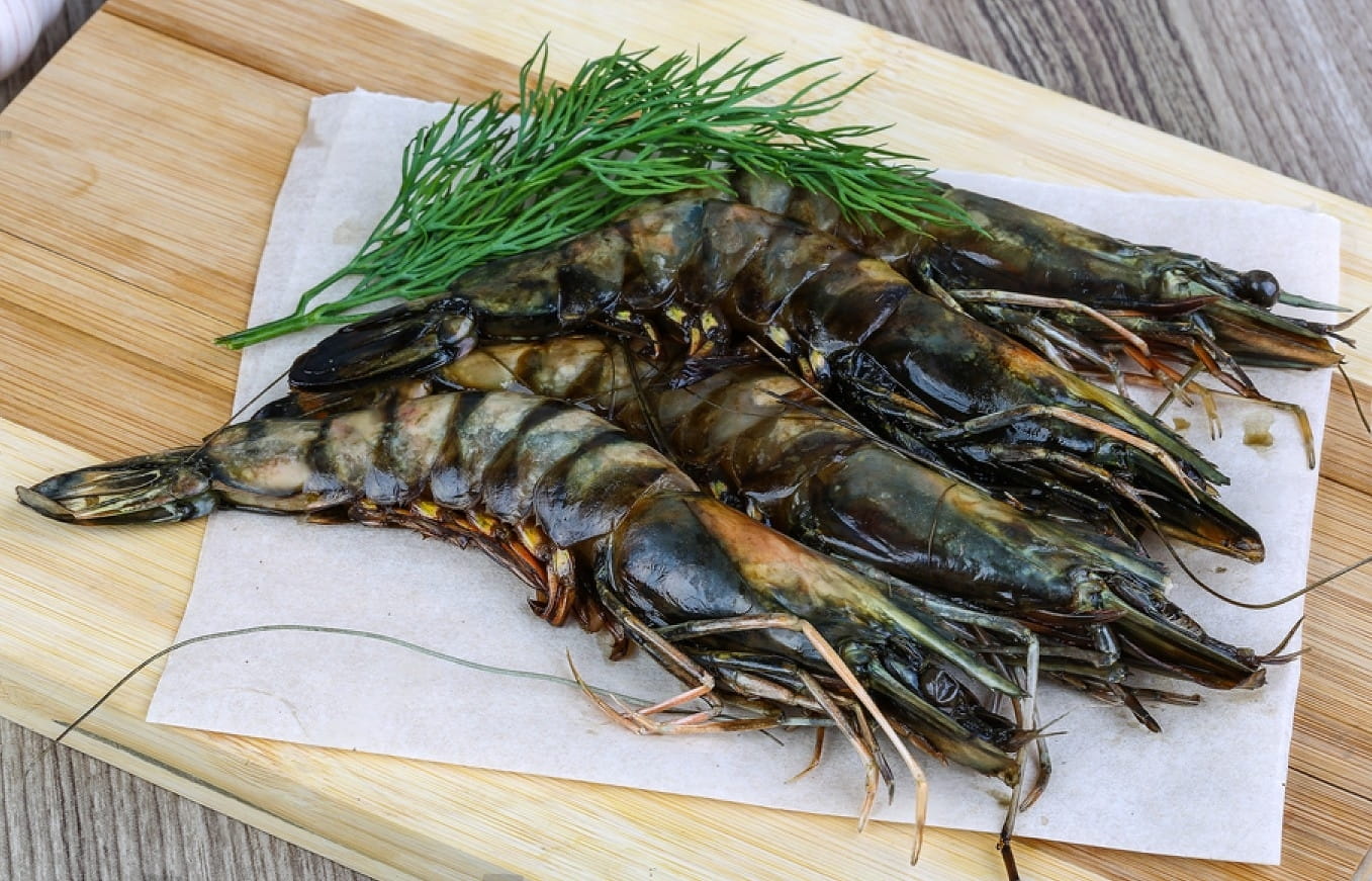 stock-photo-raw-tiger-king-shrimps-ready-for-cooking-with-dill-367049333-transformed