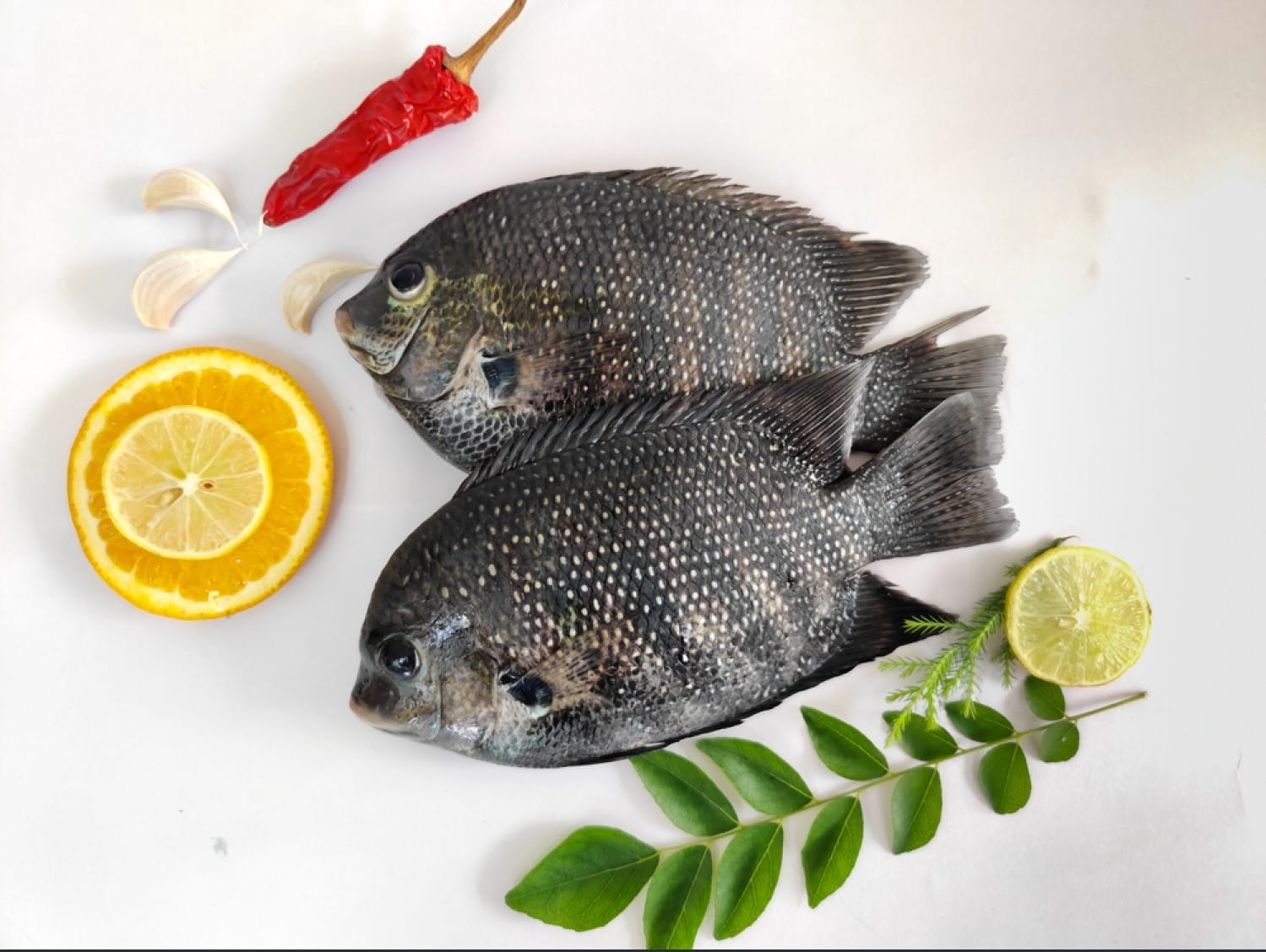 stock-photo-selective-focus-of-pearl-spot-fish-karimeen-decorated-with-herbs-and-fruits-isolated-on-white-2005575608-transformed